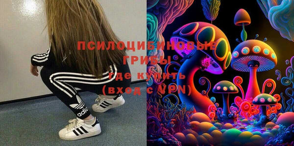 тгк Верея