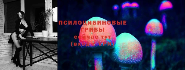 тгк Верея