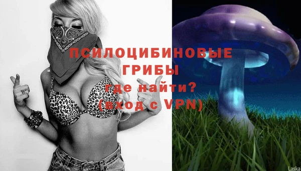 прущие грибы Верхнеуральск