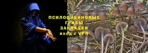 стаф Верхний Тагил