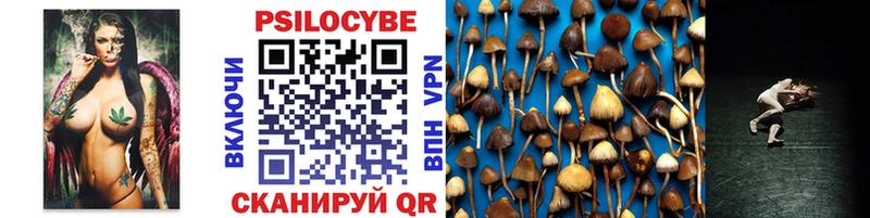 Галлюциногенные грибы мицелий Тверь