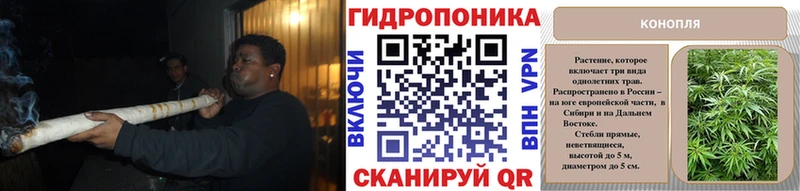 купить  сайты  Тверь  Каннабис Bruce Banner 